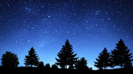 serene starry night sky filled with twinkling stars above silhouetted trees creates peaceful atmosphere