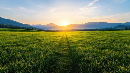 Fototapeta premium Golden hour sunset peace over tranquil meadow with misty silhouette concept. A stunning sunset over a lush green field and distant mountains.