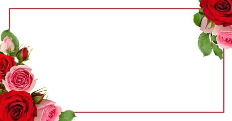 Red and pink rose flowers with green leaves in a corner arrangements with frame isolated on white...