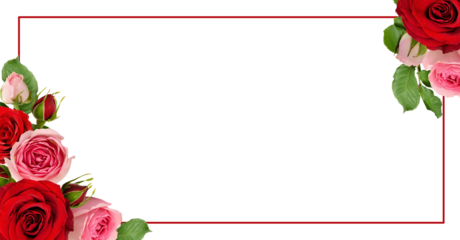 Red and pink rose flowers with green leaves in a corner arrangements with frame isolated on white or transparent background