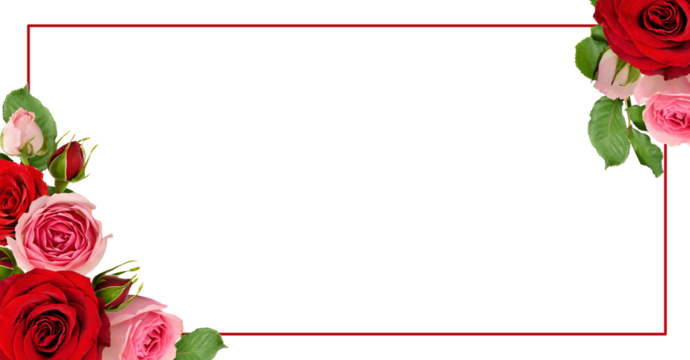 Red and pink rose flowers with green leaves in a corner arrangements with frame isolated on white or transparent background