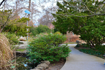 flowers-wild,natural,created by nature itself,grown in parks, forests,meadows,delightwith their beauty