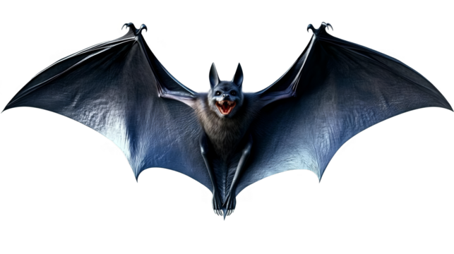 Realistic 3D Illustration Of A Black Bat Flying With Transparent Background