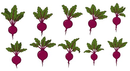 Vibrant Beetroot Illustration Fresh Harvest Bounty AI Generated