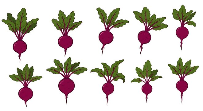 Vibrant Beetroot Illustration Fresh Harvest Bounty AI Generated