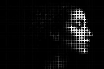 Pixel Grid Portrait of Woman Face