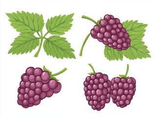 Fresh bunches of purple grapes with vibrant green leaves, perfect for healthy snacking.