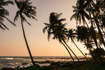 Coastal tropical landscape with palm trees against sunset backdrop. Ocean waves crash onto rocky...