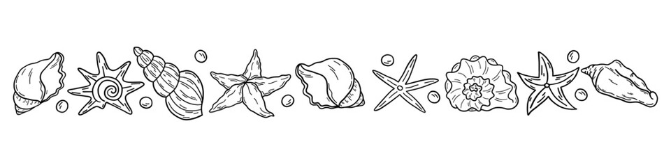 Starfish and shells drawn in flat style. Hand drawn ocean infinity. Vector illustration of sea mollusks on light background.