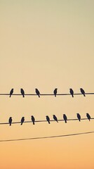 A serene and atmospheric scene of a group of birds perched on telephone wires against a clear picturesque sky in a tranquil meadow