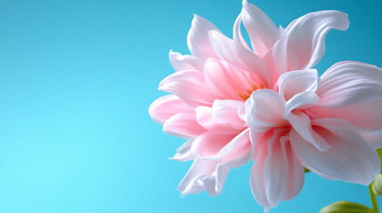 Fototapeta premium an abstract image of soft pink and white petals swirling in a gentle breez