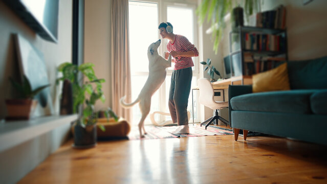 Side view of Caucasian woman wearing headphones. Pretty female holding paws of her dog while standing before large panoramic window. Happy owner dancing with her lovely pet in cosy home.