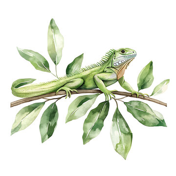 green iguana perched on branch watercolor clip art preview