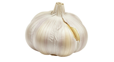 Isolated Single Garlic Bulb