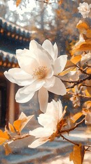 A beautiful white flower against a vibrant city backdrop photos