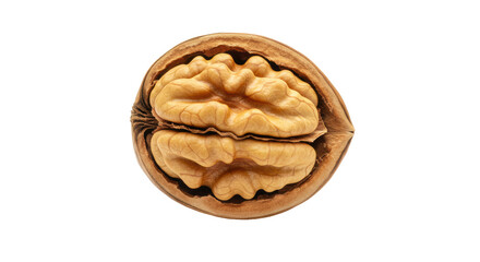 Isolated Walnut Half