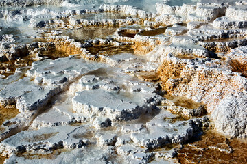 Palette Springs. Devils thumb at the Mammoth Hot Springs. Yellowstone National Park. Wyoming. USA.