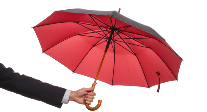 Isolated Hand Holding Open Umbrella