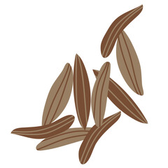 illustration of cumin seeds