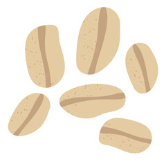 Oats isolated on white