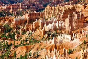 Sunrise at Sunrise Point in the Bryce Canyon National Park. Utah USA
