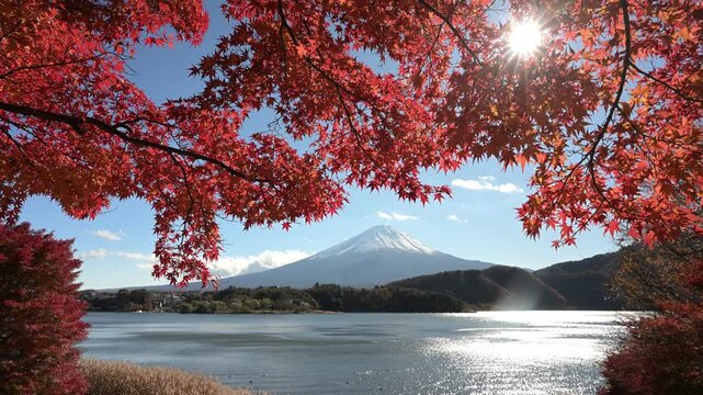 Mount Fuji reflecting in Kawaguchiko lake, framed by red autumn leaves and sun shining through them