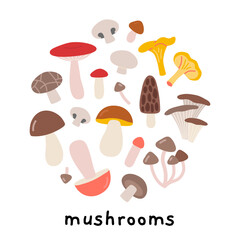 Edible mushrooms in circle shape. Ideal for healthy eating, natural food and organic product concepts. Trendy modern vector illustration isolated on white, hand drawn, flat design