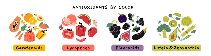 Antioxidants rich foods by their color groups infographics, Carotenoids, lycopenes, flavonoids, lutein and zeaxanthin. Trendy modern vector illustration isolated on white, hand drawn, flat design