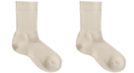 Isolated Pair of White Socks - Clothing Accessory