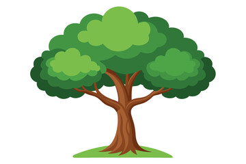 green tree isolated on white