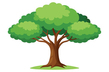 green tree isolated on white