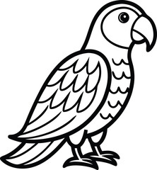 vector illustration of a african grey parrot