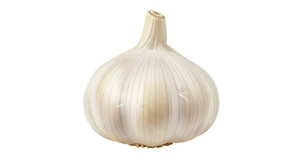 Isolated Single Bulb of Fresh Organic Garlic