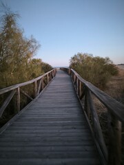 Um caminho de madeira estende-se delicadamente à nossa frente, como se fosse um convite para mergulhar na serenidade do momento. 