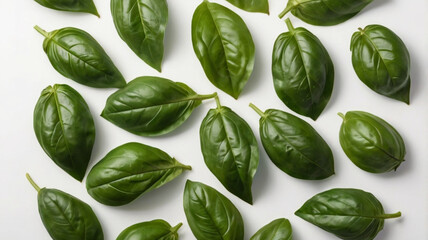 Obraz premium Fresh basil leaves isolated on white background. Top view