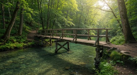 A wooden footbridge spans a pristine river in a lush conservation area, surrounded by vibrant greenery and serene nature, inviting exploration and tranquility
