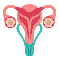 Colorful Female Reproductive System on White Background Medical Icon Design