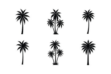 Fototapeta premium Simple Black and White Palm Tree Silhouettes