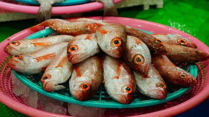 상점에 진열된 눈볼대