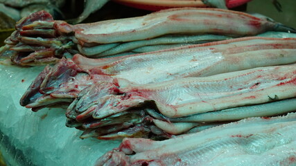 상점에 진열된 장어