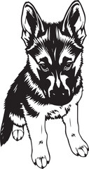 German Shepherd puppy. Hand drawn vector illustration