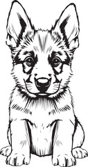 German Shepherd puppy. Hand drawn vector illustration