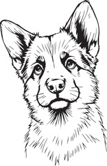 German Shepherd puppy. Hand drawn vector illustration