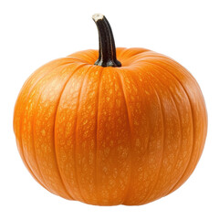 Obraz premium Vibrant orange pumpkin with a thick stem on a clean Transparent background, pumpkin isolated PNG background