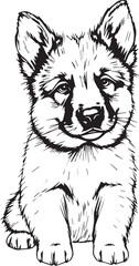 German Shepherd puppy. Hand drawn vector illustration