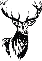 Majestic Stag Head, Black and White, Antlered Deer, Wildlife Art