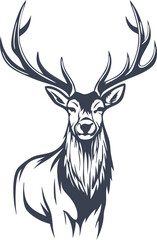 Majestic Deer Antlers, Elegant Wildlife, Natures Symbol, Forest Creature