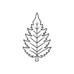 Fototapeta premium Cedar Leaf Vector Illustration – Green Nature Element on White Background