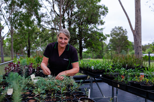 Happy middle aged horticulturalist woman gardening in seedling nursery garden