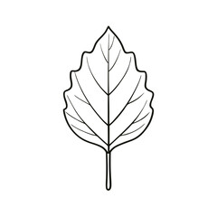 Poplar Leaf Vector – Simple Illustration, Botanical Clipart, Nature Silhouette